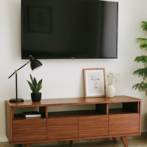 Centro de Entretenimiento Minimalista Magnolia